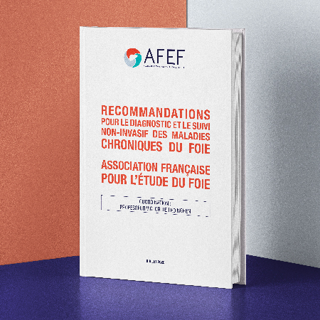 AFEF // Recommandations 2020